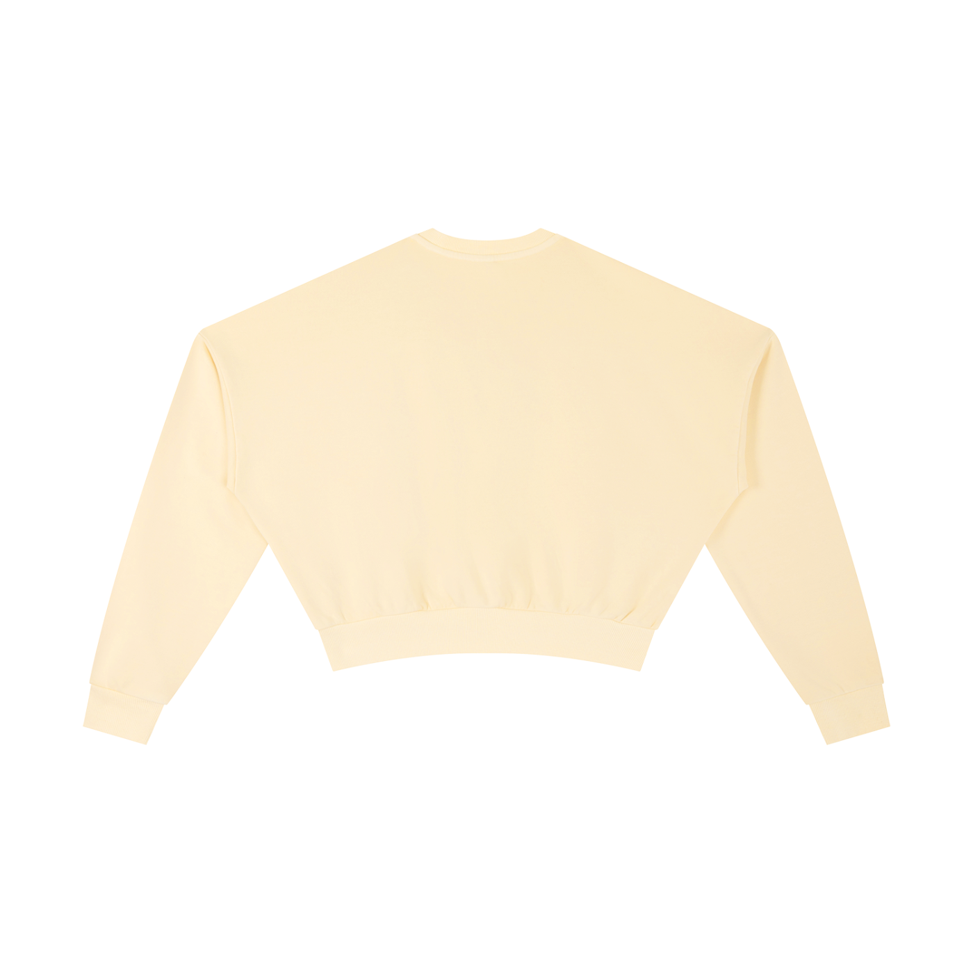 She's Seaux Sporty Vintage Washed Cropped Sweatshirt